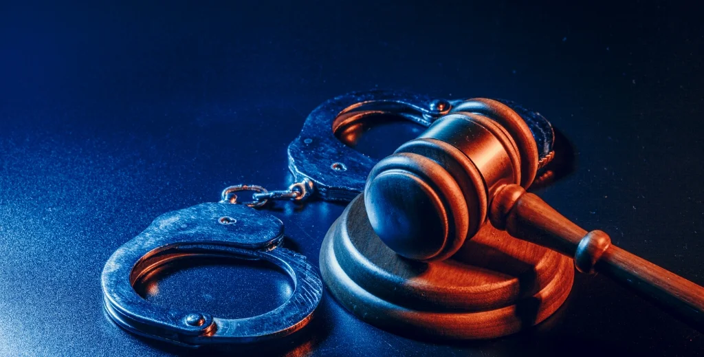 Criminal Defense Services 1